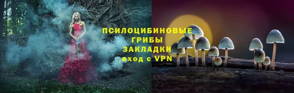 a pvp Бородино