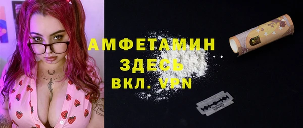 a pvp Бородино