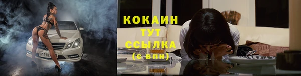 a pvp Бородино