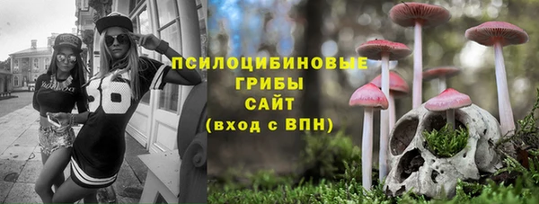a pvp Бородино