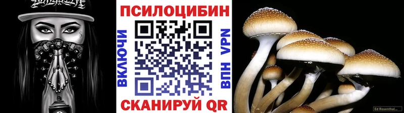 это телеграм  что такое наркотик  Ступино  Галлюциногенные грибы MAGIC MUSHROOMS 